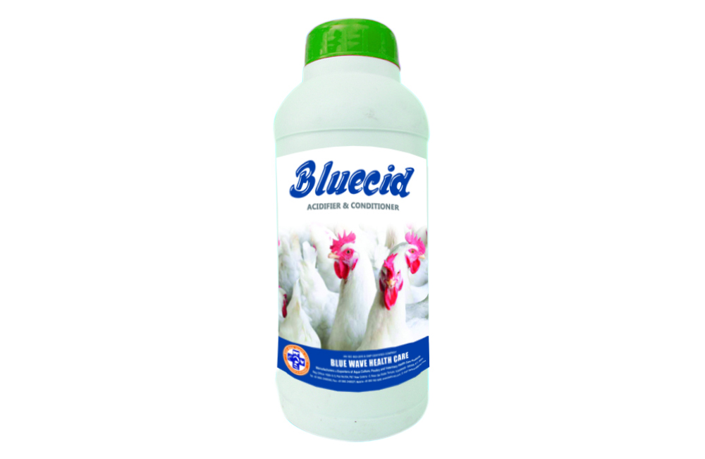 BLUECID (Acidifier & Conditioner)